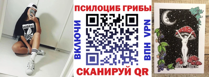 мориарти как зайти  Калачинск  Галлюциногенные грибы ЛСД 